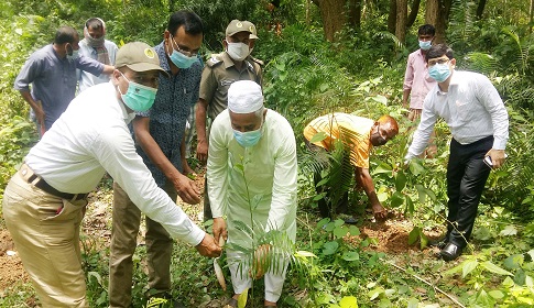 ধামইরহাটের আলতাদীঘি জাতীয় উদ্যানে রোপন করা হলো সাড়ে ২২ হাজার চারা