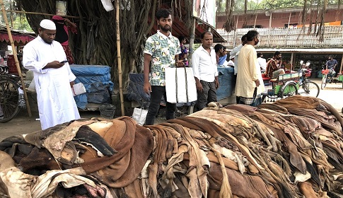ধামইরহাটে পানির দামে চামড়া বিক্রি