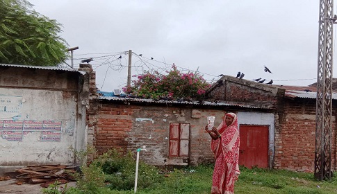 কাকের প্রতি বিরল ভালবাসা সায়মা বিবির