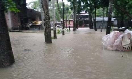 গলাচিপায় টানা বর্ষণে তলিয়ে গেছে নিম্নাঞ্চল ও রাস্তাঘাট