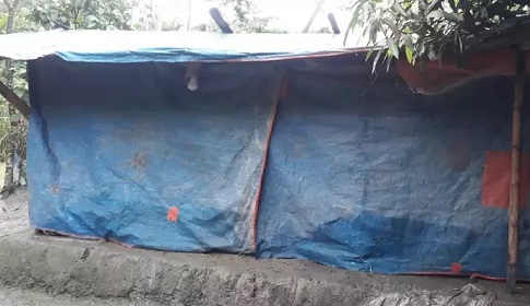গলাচিপায় প্রধানমন্ত্রীর ঘর পাওয়ার আকুতি সাজেদা বেগমের