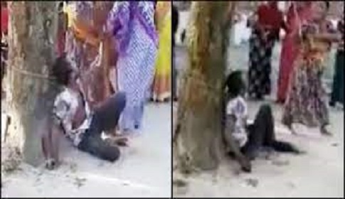 জামাইকে গাছে বেঁধে নির্যাতনের ঘটনায় শাশুড়ি আটক