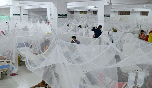 হাসপাতালে ভর্তি আরও ১৪৬ ডেঙ্গুরোগী