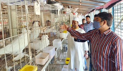 সৌখিন কবুতর খামারী আবু সাইদ