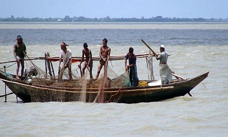 আট মাসের জন্য জাটকা শিকারে নিষেধাজ্ঞা