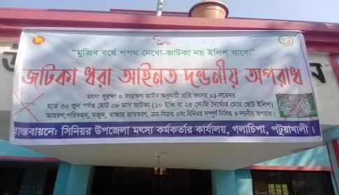 গলাচিপায় আট মাসের জন্য বন্ধ থাকবে জাটকা শিকার