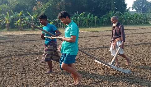 পেঁয়াজের বীজতলা প্রস্তুত করতে গরুর জায়গায় মানুষ! 