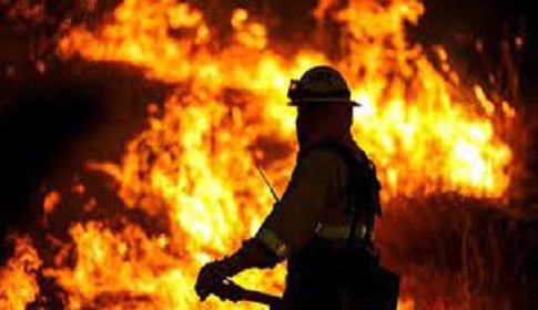 গাজীপুরে স্পিনিং মিলের তুলার গুদামে আগুন 