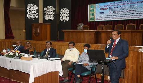 বারিতে ক্ষতিকর পোকা ফল আর্মিওয়ার্ম ব্যবস্থাপনা বিষয়ক কর্মশালা 