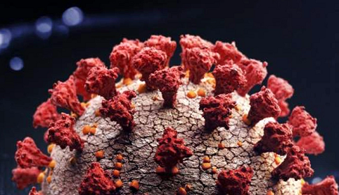 করোনার নতুন ধরনই ‘সবচেয়ে ভয়াবহ’, চিন্তিত বিজ্ঞানীরা