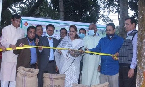 পলাশবাড়ীতে অভ্যন্তরীণ আমন ধান ও সিদ্ধ চাল সংগ্রহের শুভ উদ্বোধন