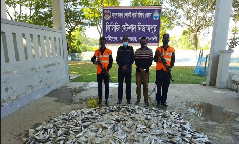 কলাপাড়ায় কোস্ট গার্ডের অভিযানে ১৮শ কেজি জাটকা জব্দ