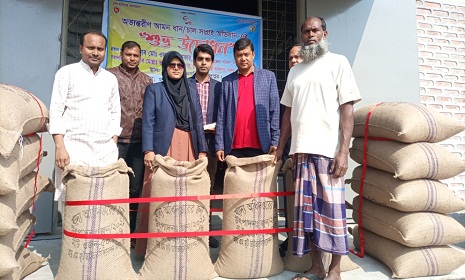 সালথায় সরকারিভাবে ধান ক্রয়ের উদ্বোধন