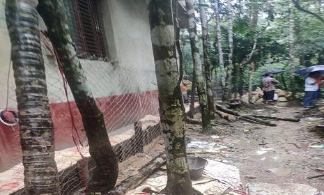 বাঁশখালীতে অন্যের জমির গাছ কেটে প্রতিপক্ষের ঘর নির্মাণ!