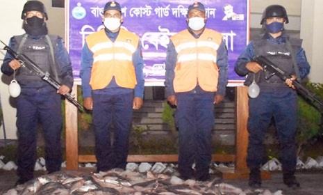 ভোলায় ৪০০ কেজি জাটকা জব্দ