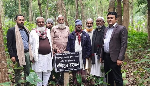 ৫০ বছর পর শনাক্ত হলো শহীদ বীর মুক্তিযোদ্ধা খলিলুর রহমানের কবর