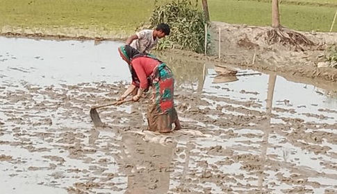 রাজারহাটে দেশের সর্বনিম্ন তাপমাত্রা