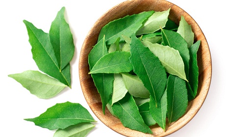 কারি পাতায় সারবে নানা রোগ