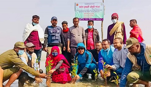 ভোলার তজুমদ্দিনে ম্যানগ্রোভ বন পরিদর্শন করলেন এমপি শাওন