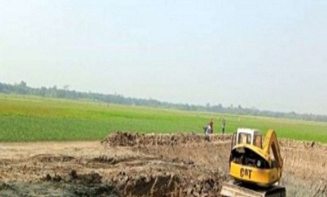 নগরকান্দায় কমছে ফসলি জমি, ইটভাটায় যাচ্ছে মাটি