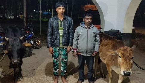 মধুখালীতে চুরি যাওয়া গরুসহ ২ চোর আটক