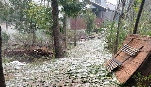 মাগুরায় শিলা বৃষ্টিতে ব্যাপক ক্ষতি