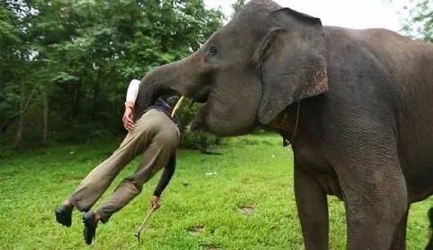 একের পর এক মৃত্যুও যাদের দায়িত্বশীল করে না!