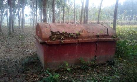 অযত্ন অবহেলায় রাজবাড়ীর গণকবর