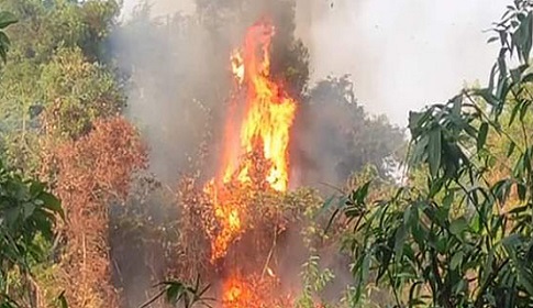 রহস্যময় আগুনে দগ্ধ মহেশখালীর বন