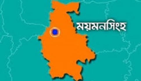গৌরীপুরে গাছ থেকে পড়ে বৃদ্ধের মৃত্যু