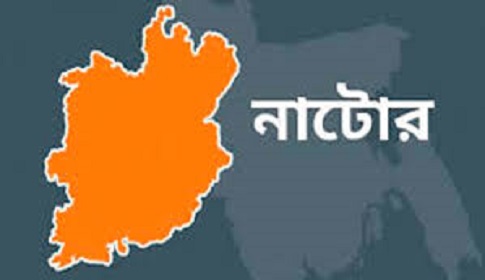 বড়াইগ্রামে নছিমনের চাপায় টেইলার্স কর্মীর মৃত্যু 