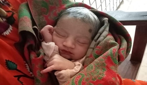 লালপুরে গম ক্ষেত থেকে নবজাতক উদ্ধার 