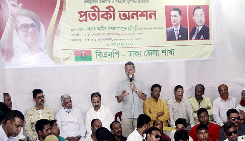 নির্বাচনের পর জাতীয় সরকার গঠন করবে বিএনপি