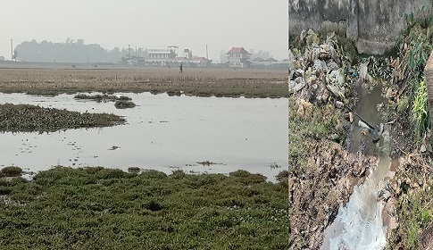 শিল্প বর্জ্য গিলে খাচ্ছে খাইঞ্জার হাওরের কৃষি জমি! 