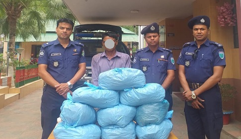 শ্রীমঙ্গলের চা বাগান থেকে ৯ কেজি গাঁজাসহ মাদক ব্যবসায়ী গ্রেফতার  