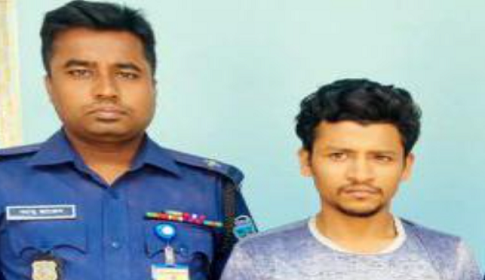 দাগনভূঞায় বাড়ির ছাদে গাঁজার চাষ, মাদক বিক্রেতা আটক