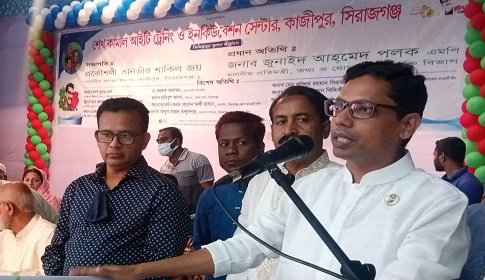 ঘরে বসেই তরুণ তরুণীরা ডলার আয় করতে পারবে : পলক