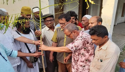 বীর মুক্তিযোদ্ধা আবু তাহের মাস্টারের নামে কৃষ্ণচূড়া বৃক্ষরোপণ
