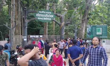 মৌলভীবাজারে পর্যটকদের ঢল, লাউয়াছড়ায় চারদিনে এসেছেন ১১ হাজার পর্যটক