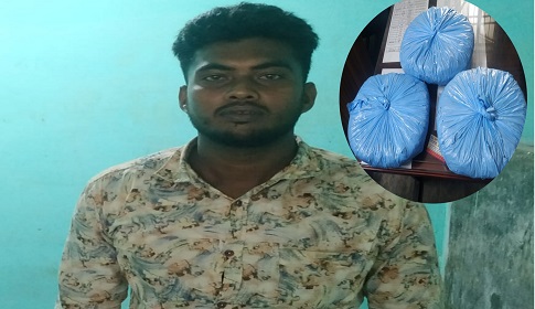 টুঙ্গিপাড়ায় ৩ কেজি গাঁজাসহ মাদক ব্যবসায়ী আটক 