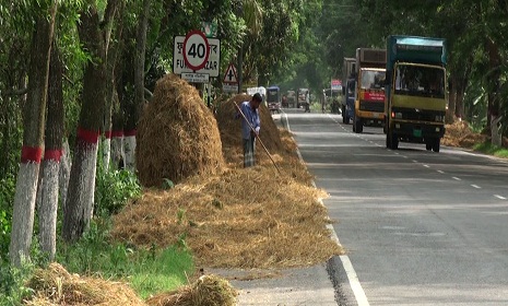 গোপালগঞ্জে ধান মাড়াই ও সড়ক দখলে বেড়েছে দুর্ঘটনা
