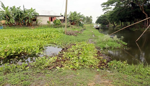 বরেণ্য কণ্ঠশিল্পী এন্ড্রু কিশোরের চিথলীয়া গ্রাম উন্নয়ন বঞ্চিত 