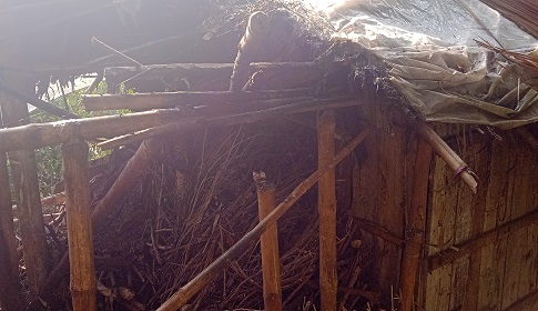 তালায় আম চুরির প্রতিবাদ করায় ঘরে আগুন, সীমানা পিলার ভাঙচুর