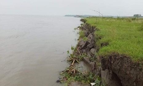 সিরাজগঞ্জে কমছে যমুনা নদীর পানি, বাড়ছে নদীভাঙ্গন