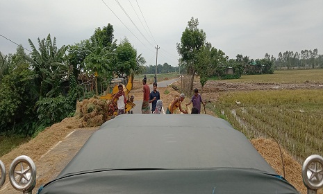 সড়ক বন্ধ করে ধান মাড়াই, খড় শুকানো, দুর্ঘটনার শঙ্কায় চালক ও যাত্রীরা