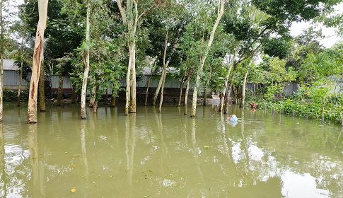 যমুনার পানি বিপদসীমার ওপরে, বিপাকে বন্যা কবলিত মানুষ