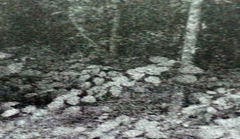 গণহত্যায় স্বামী ও স্বজন হারানো এক মায়ের বয়ান