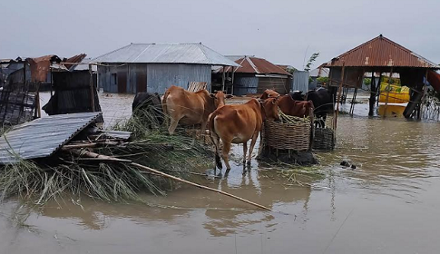 কুড়িগ্রামে বন্যার পানি কমায় বেড়েছে পানিবাহিত রোগ