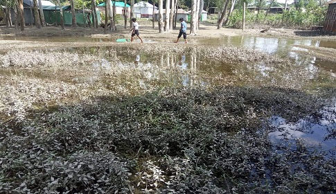 সিরাজগঞ্জে বন্যা পরিস্থিতির উন্নতি, বাড়ি ফিরছে মানুষ