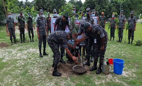 গোপালগঞ্জে ২৪০টি বৃক্ষের চারা রোপন করল আনসার ও গ্রাম প্রতিরক্ষা বাহিনী